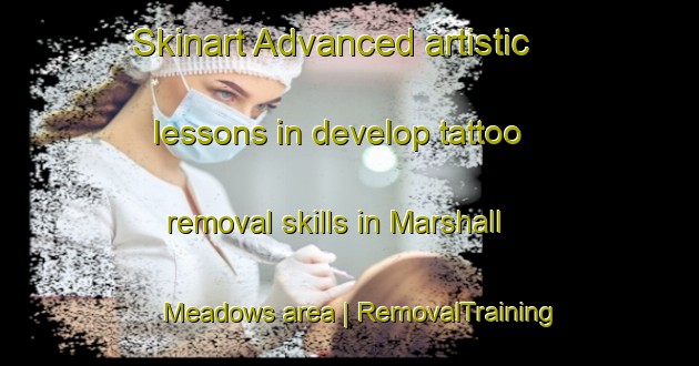 Skinart Advanced artistic lessons in develop tattoo removal skills in Marshall Meadows area | RemovalTraining | RemovalClasses | SkinartTraining-United Kingdom